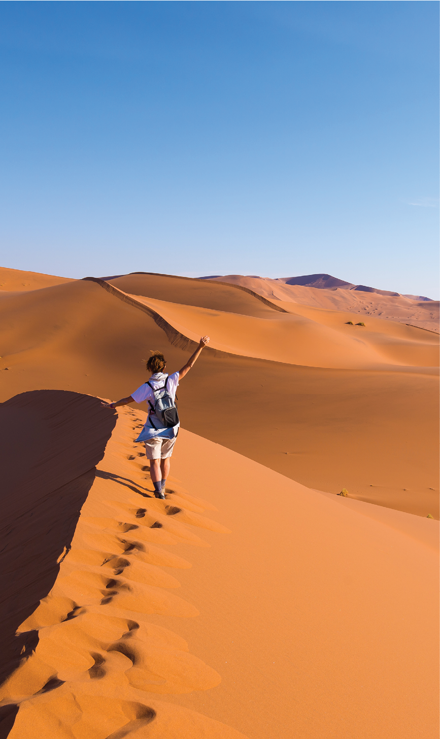 Tourist walking on the scenic dunes of Sossusvlei, Namib desert, Namib Naukluft National Park, Namibia. Afternoon light. Adventure and exploration in Africa.
