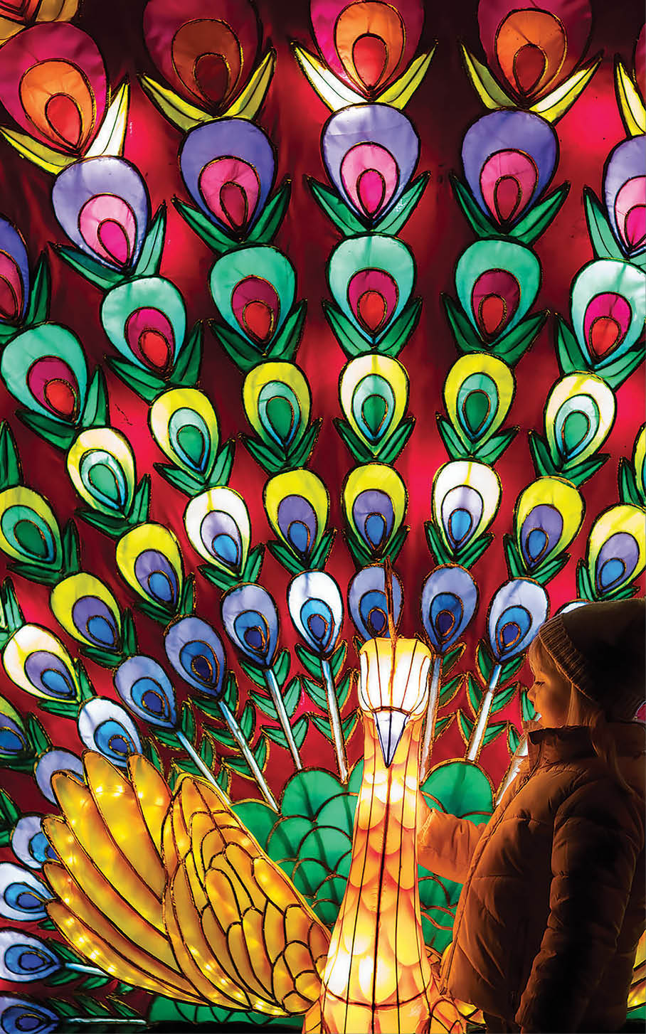 1/11/2017 Wild Lights Opens at Dublin Zoo Friday 3rd November – Sunday 7th January  Tickets available at DublinZoo.ie   This winter, Dublin Zoo is home to “Wild Lights”, a magical night-time event featuring giant colourful lanterns and illuminated sculptures, inspired by wildlife. The event is open to the public from tomorrow, Friday 3rd November, until Sunday, 7th January and will run from 5pm – 9pm. Tickets are on sale now and must be booked in advance on DublinZoo.ie   Pictured at Wild Lights is Beth Healy.  Ends For more information, please contact: Siobh n Grogan / Joanne O’Sullivan / Cormac Coughlan Teneo PSG  M: 085 224 9485 / 086 156 6985 /086 414 4329 /  dublinzoo@Teneopsg.ie    ©Patrick Bolger