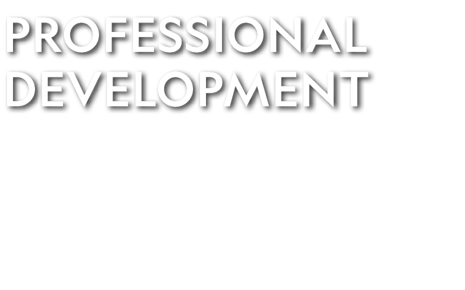 PROFESSIONAL DEVELOPMENT