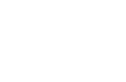 ACADEMIC LANGUAGE, LITERACY, AND CONTENT FOR AN EDUCATION IN ENGLISH 