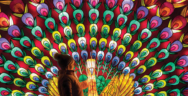 1/11/2017 Wild Lights Opens at Dublin Zoo Friday 3rd November – Sunday 7th January  Tickets available at DublinZoo.ie   This winter, Dublin Zoo is home to “Wild Lights”, a magical night-time event featuring giant colourful lanterns and illuminated sculptures, inspired by wildlife. The event is open to the public from tomorrow, Friday 3rd November, until Sunday, 7th January and will run from 5pm – 9pm. Tickets are on sale now and must be booked in advance on DublinZoo.ie   Pictured at Wild Lights is Beth Healy.  Ends For more information, please contact: Siobh n Grogan / Joanne O’Sullivan / Cormac Coughlan Teneo PSG  M: 085 224 9485 / 086 156 6985 /086 414 4329 /  dublinzoo@Teneopsg.ie    ©Patrick Bolger