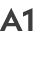 A1