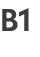 B1