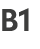 B1