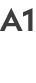 A1