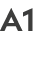 A1
