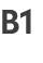 B1