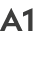 A1