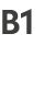 B1