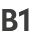 B1