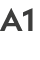 A1