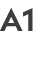 A1