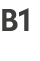 B1