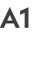 A1