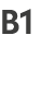 B1
