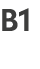 B1