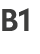 B1