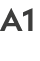 A1
