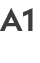 A1