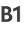 B1