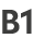 B1