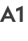 A1