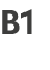 B1