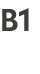 B1