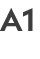 A1