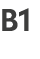 B1