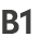 B1