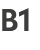 B1