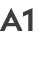 A1