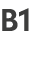 B1