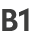 B1