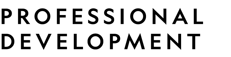 PROFESSIONAL DEVELOPMENT