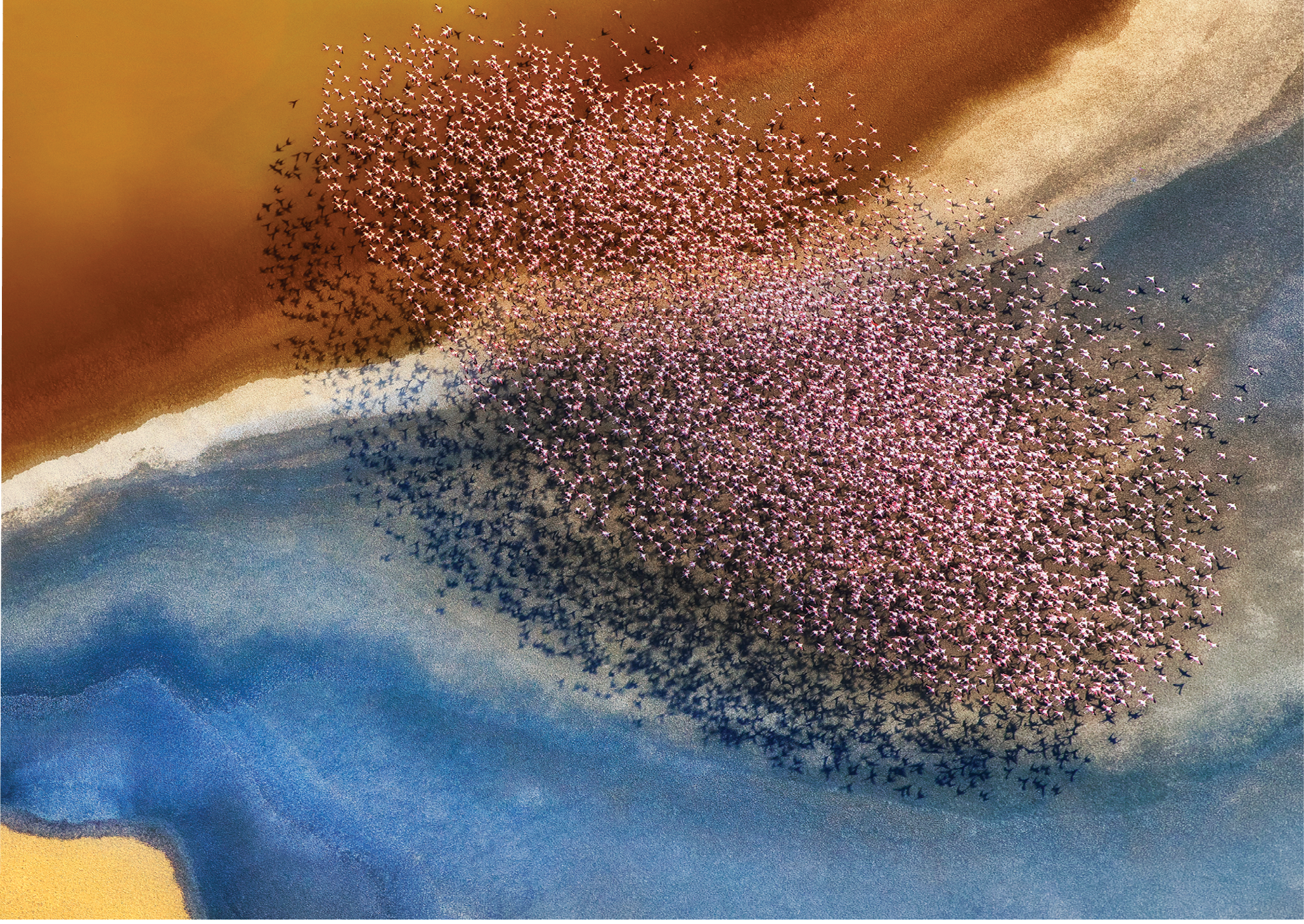 Tanzania. While flying in a helicopter over Tanzania's Lake Natron, Phillip Chang photographed this flock of flamingos against the last rays of sunlight.