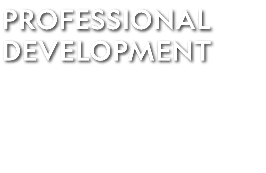 PROFESSIONAL DEVELOPMENT