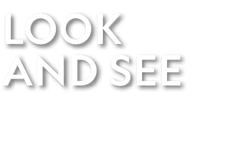 LOOK AND SEE