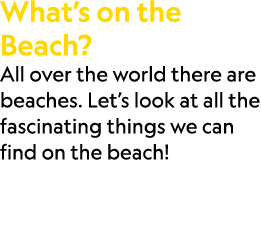 What’s on the Beach? All over the world there are beaches. Let’s look at all the fascinating things we can find on th...