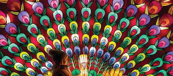 1/11/2017 Wild Lights Opens at Dublin Zoo Friday 3rd November – Sunday 7th January  Tickets available at DublinZoo.ie   This winter, Dublin Zoo is home to “Wild Lights”, a magical night-time event featuring giant colourful lanterns and illuminated sculptures, inspired by wildlife. The event is open to the public from tomorrow, Friday 3rd November, until Sunday, 7th January and will run from 5pm – 9pm. Tickets are on sale now and must be booked in advance on DublinZoo.ie   Pictured at Wild Lights is Beth Healy.  Ends For more information, please contact: Siobh n Grogan / Joanne O’Sullivan / Cormac Coughlan Teneo PSG  M: 085 224 9485 / 086 156 6985 /086 414 4329 /  dublinzoo@Teneopsg.ie    ©Patrick Bolger