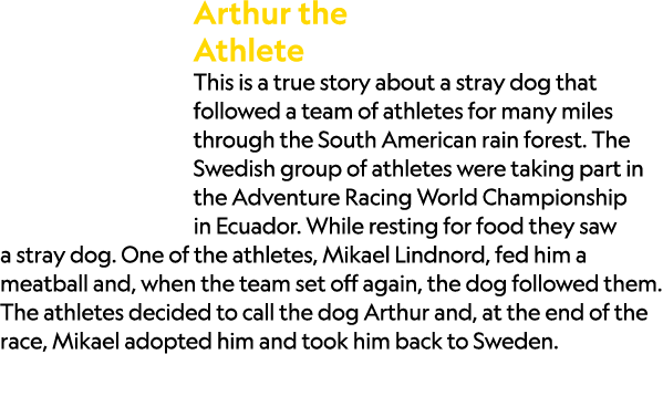 Arthur the Athlete This is a true story about a stray dog that followed a team of athletes for many miles through the...