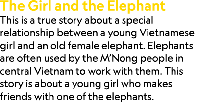 The Girl and the Elephant This is a true story about a special relationship between a young Vietnamese girl and an ol...