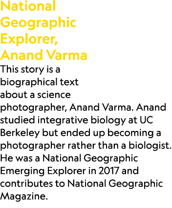 National Geographic Explorer, Anand Varma This story is a biographical text about a science photographer, Anand Varma...