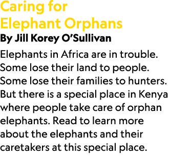 Caring for Elephant Orphans By Jill Korey O’Sullivan Elephants in Africa are in trouble. Some lose their land to peop...