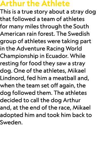 Arthur the Athlete This is a true story about a stray dog that followed a team of athletes for many miles through the...