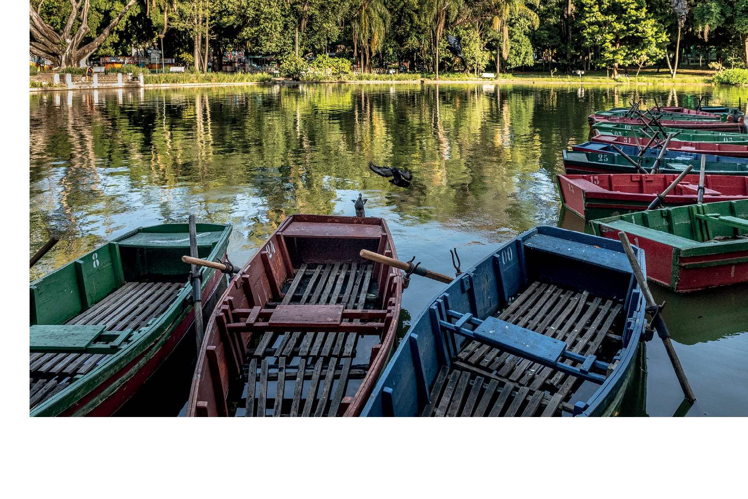 Row boats for rent on the pond at the Municipal Park in Belo Horizonte, Brazil. (No releases)