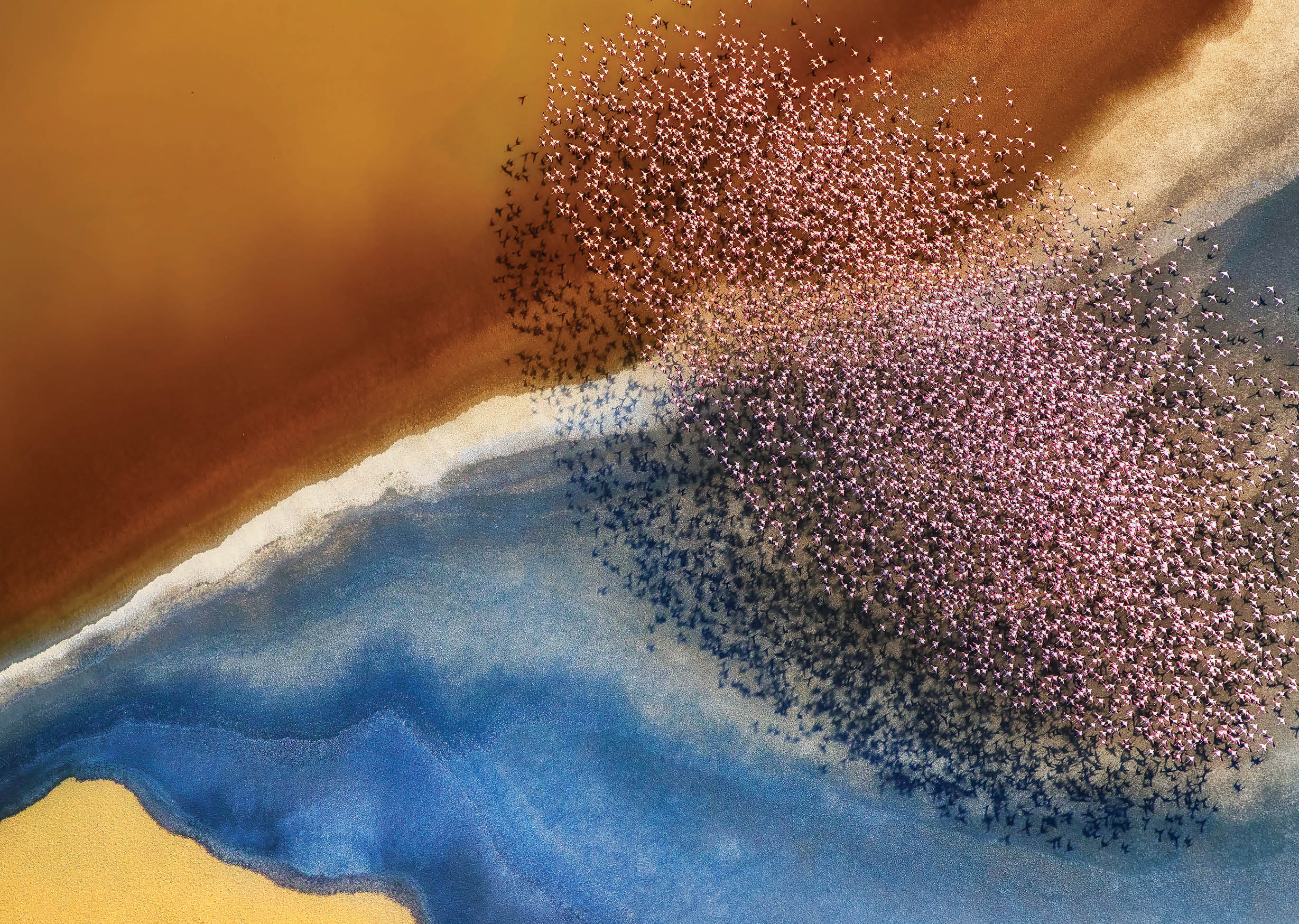 A flock of pink flamingos fly over an incredibly colourful landscape created by mineral rich soil which changes colour depending on the angle of light.  Professional photographer, Phillip Chang, 61, captured this stunning picture whilst flying over the Natron Lake in Tanzania.  Phillip, who was photographing the landscape itself, was suprised by the appeareance of the birds.  He said,  “The birds formed amazing shapes that you cannot see from below."  Please byline: Phillip Chang/Solent News  © Phillip Chang/Solent News & Photo Agency UK +44 (0) 2380 458800 
